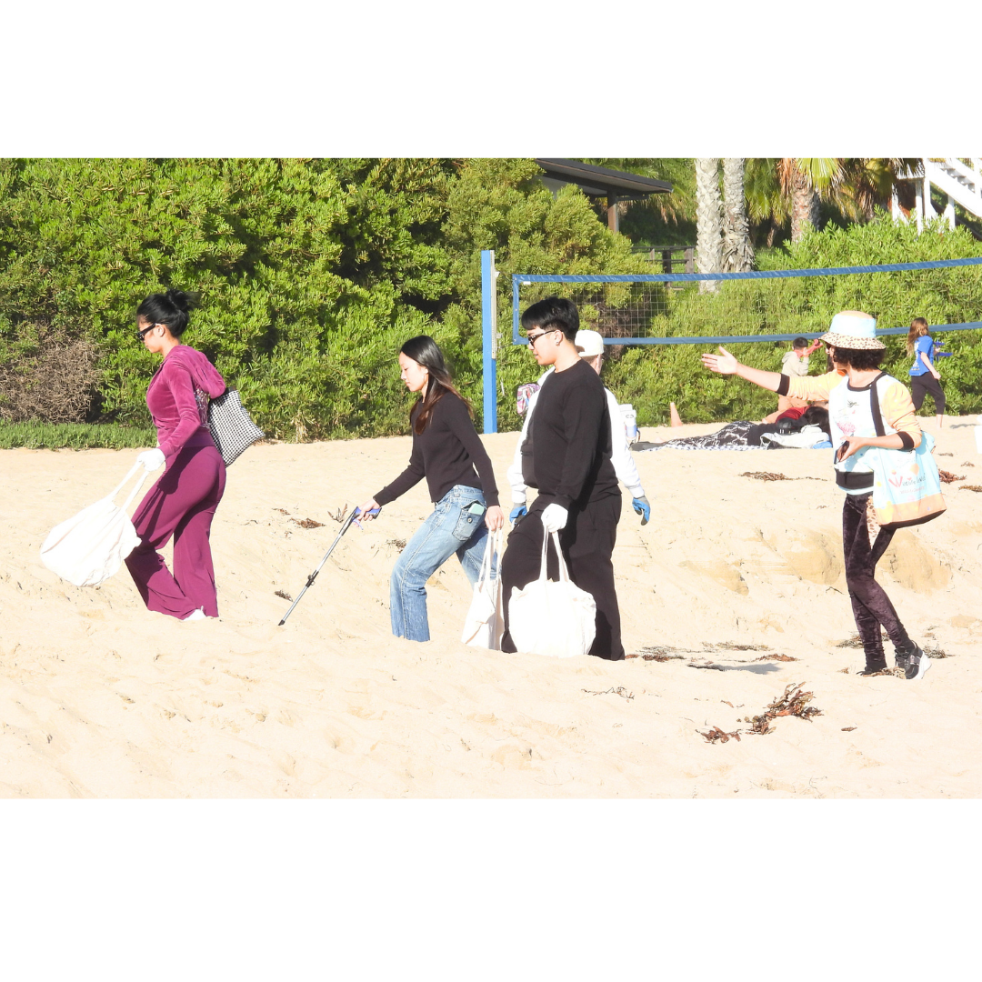 Wildlife Jewels  Earth Day CDM Cleanup 2026-14.png