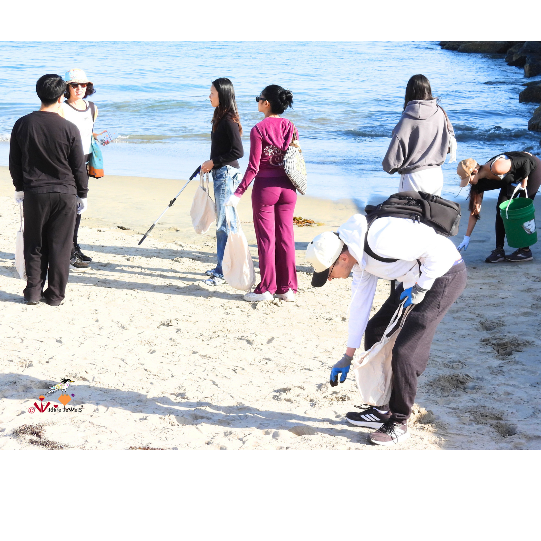 Wildlife Jewels  Earth Day CDM Cleanup 2026-09.png