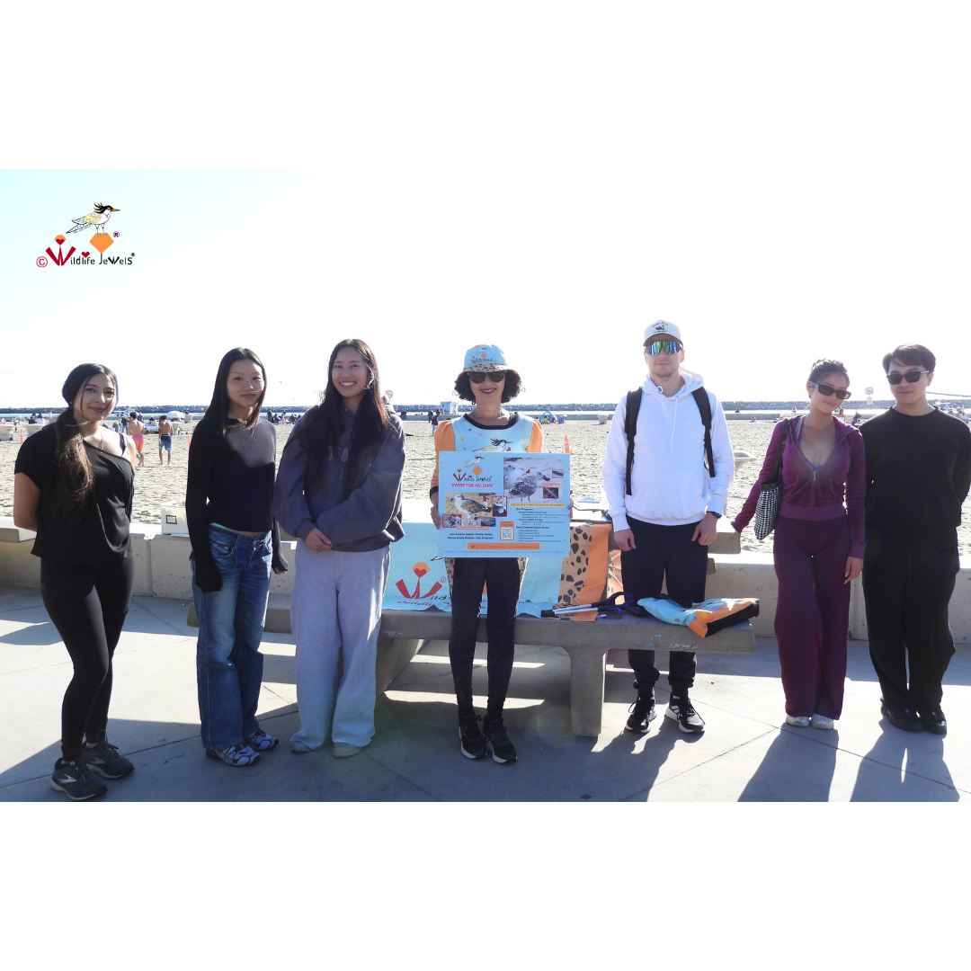 Wildlife Jewels  Earth Day CDM Cleanup 2026-28.png