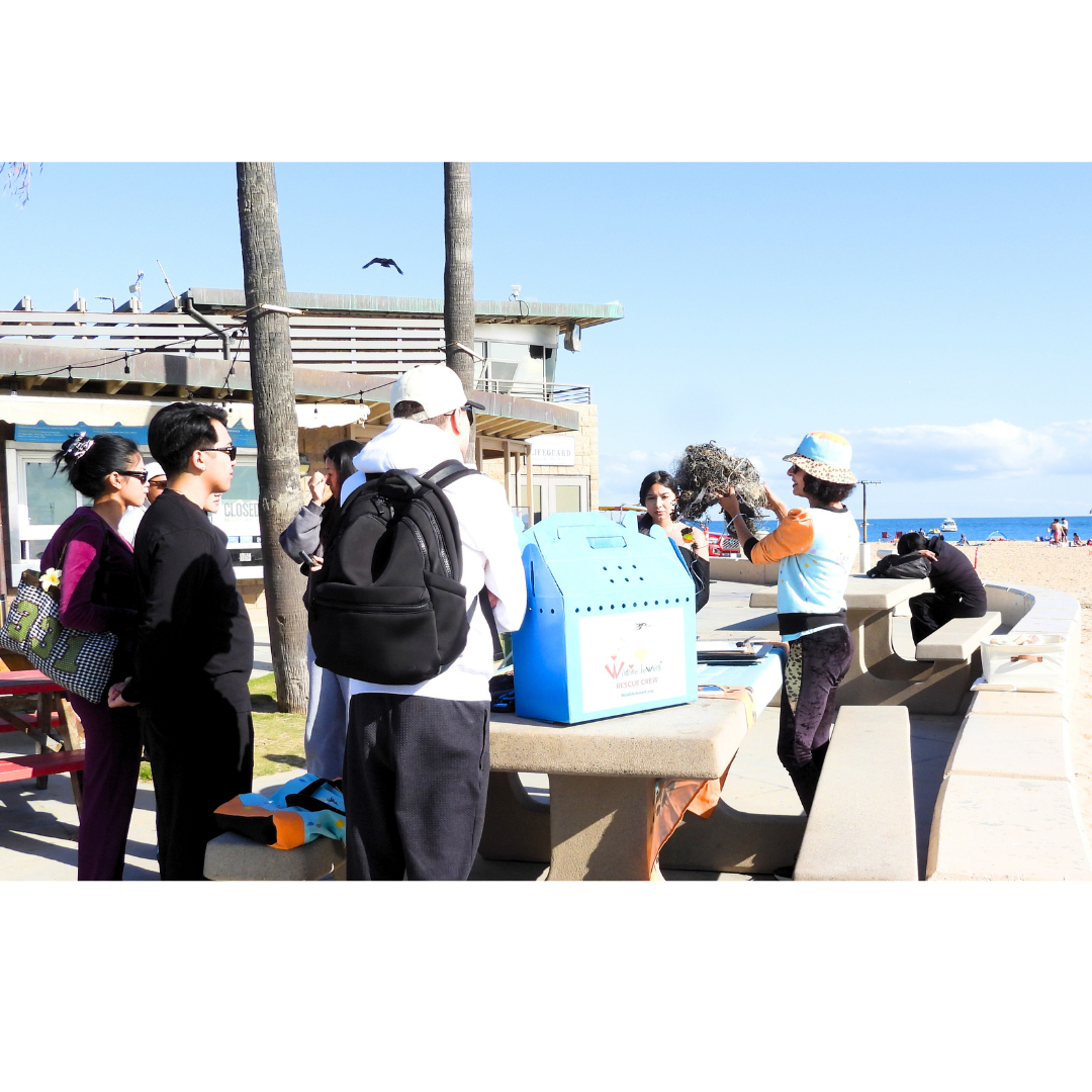 Wildlife Jewels  Earth Day CDM Cleanup 2026-24.png