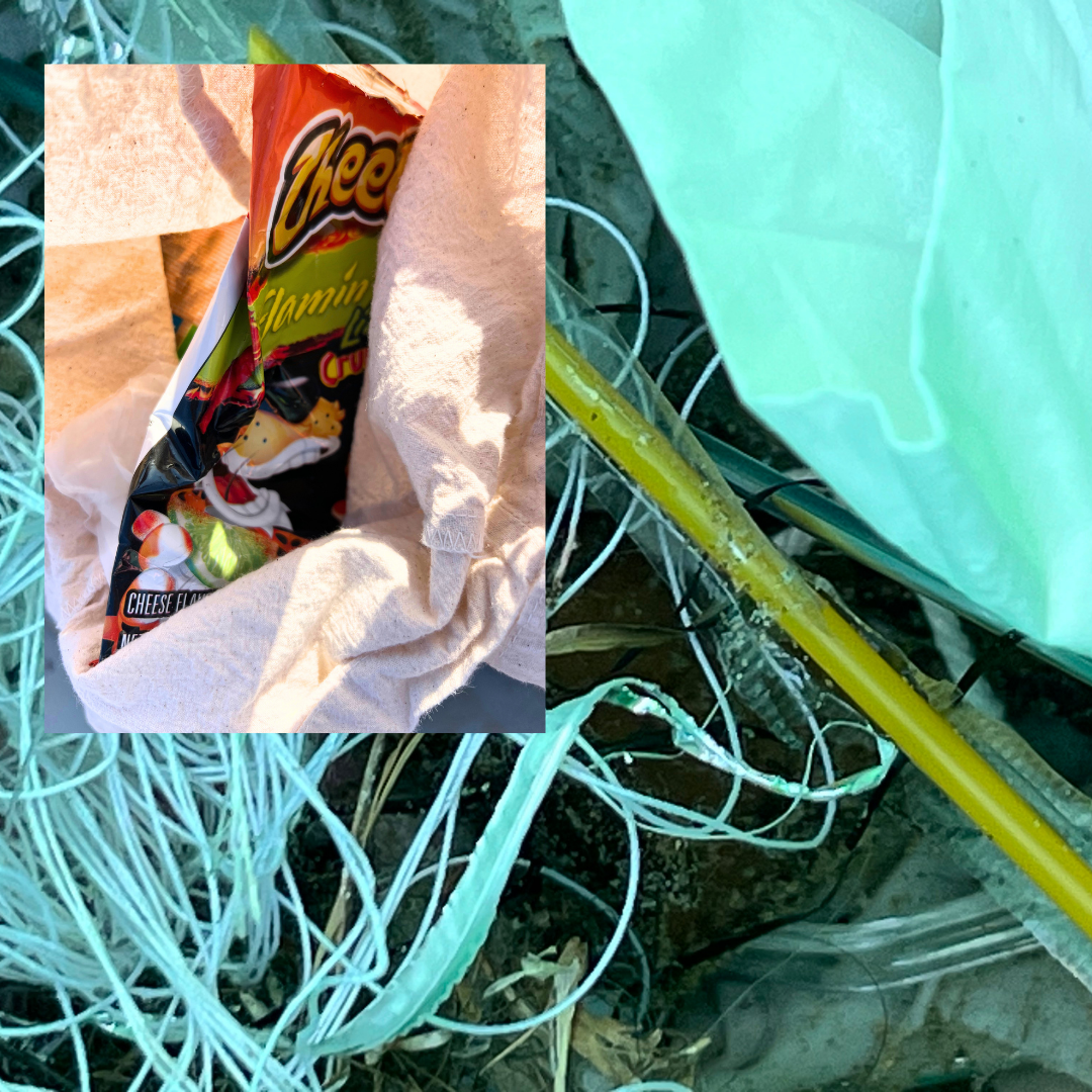 Wildlife Jewels  Earth Day CDM Cleanup 2026-22.png
