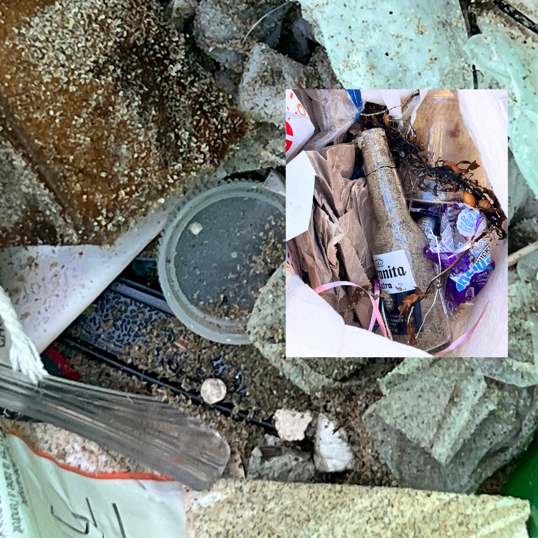 Wildlife Jewels  Earth Day CDM Cleanup 2026-21.png