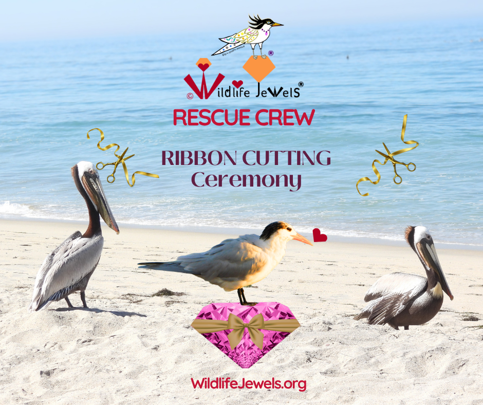 Wildlife Jewels Rescue Crew Ribbon Cutting-01.png