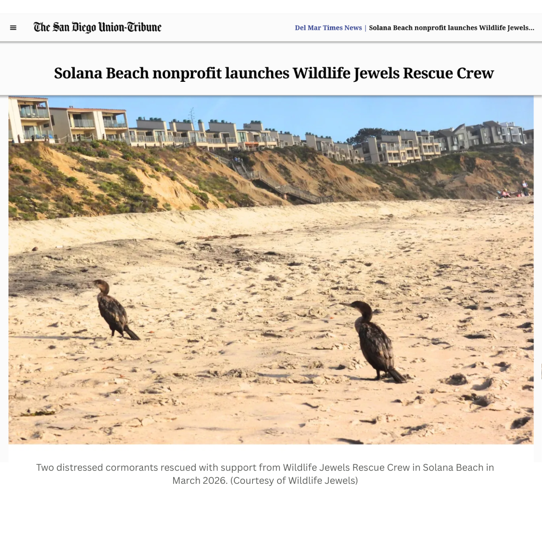 Wildlife Jewels Rescue Crew -3.png