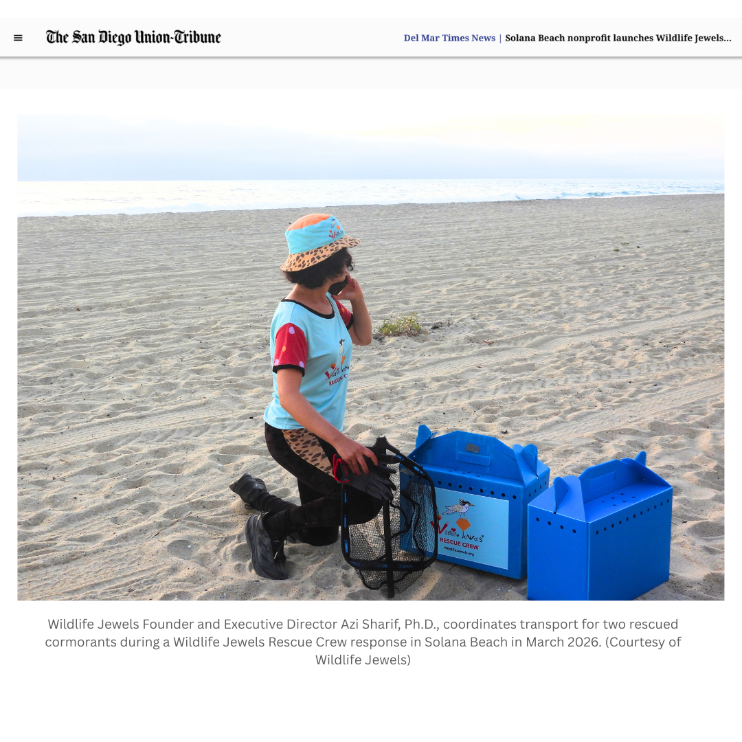 Wildlife Jewels Rescue Crew -2.png