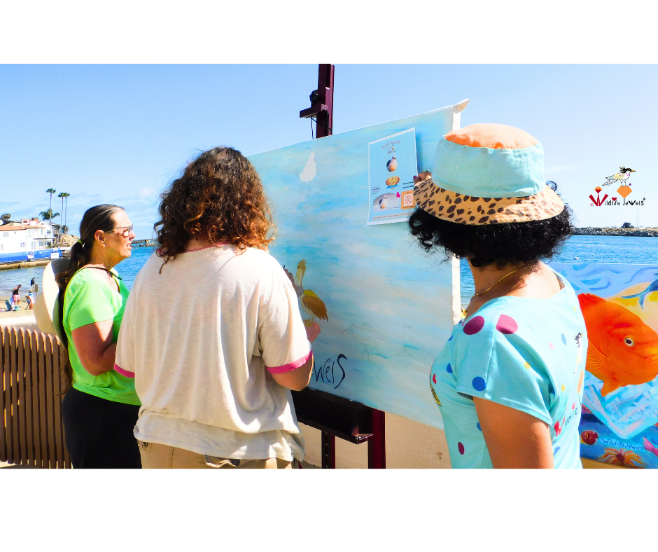 Wildlife Jewels Art of Newport Beach-59.png