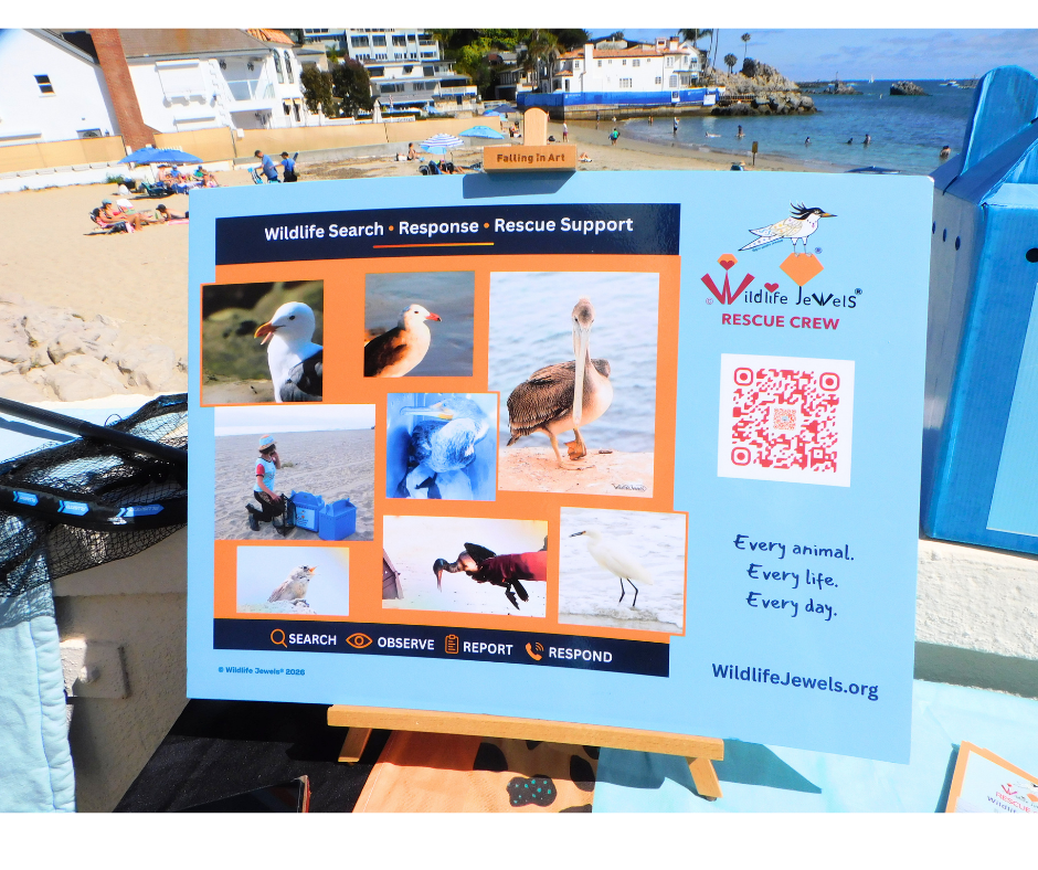 Wildlife Jewels Art of Newport Beach-19.png