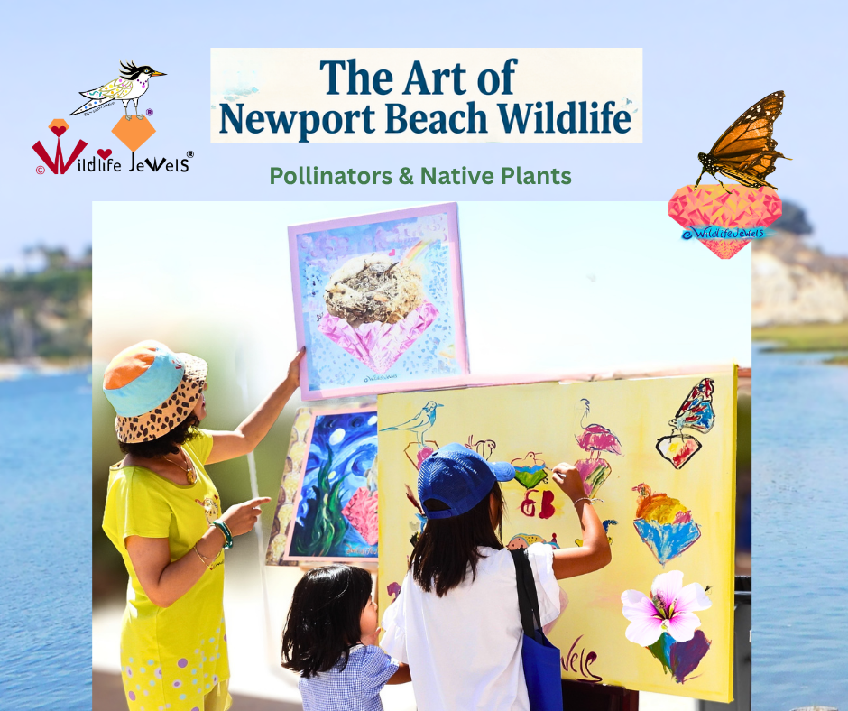Wildlife Jewels Art of Newport Beach Wildlife-10.png
