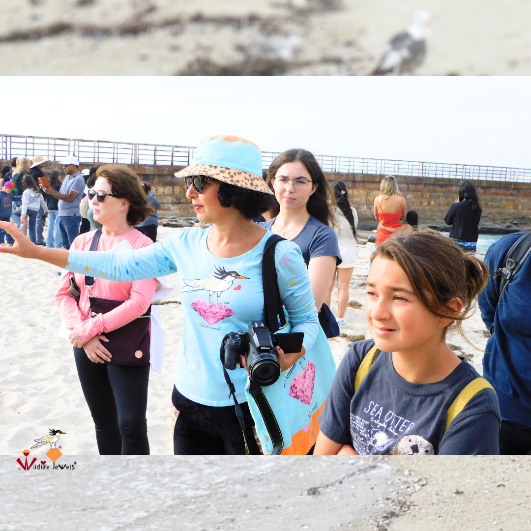 Wildlife Jewels EYES Wildlife Walk La Jolla-8.png
