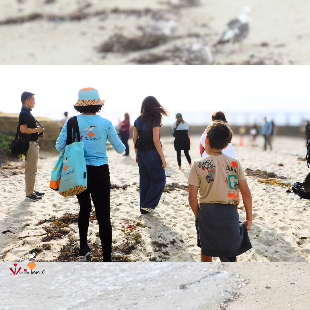 Wildlife Jewels EYES Wildlife Walk La Jolla-3.png