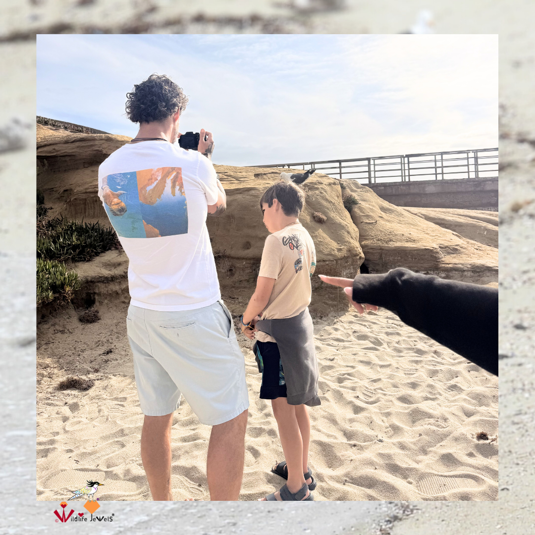 Wildlife Jewels EYES Wildlife Walk La Jolla-2.png