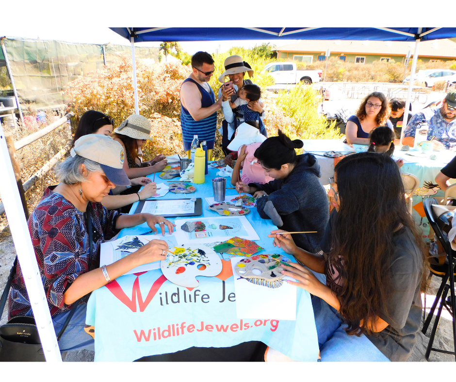 Wildlife Jewels-2026-20.png