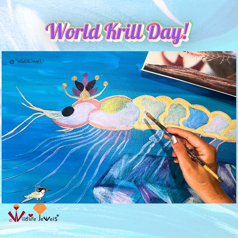 World Krill Day: Why Protecting Antarctic Krill Matters
