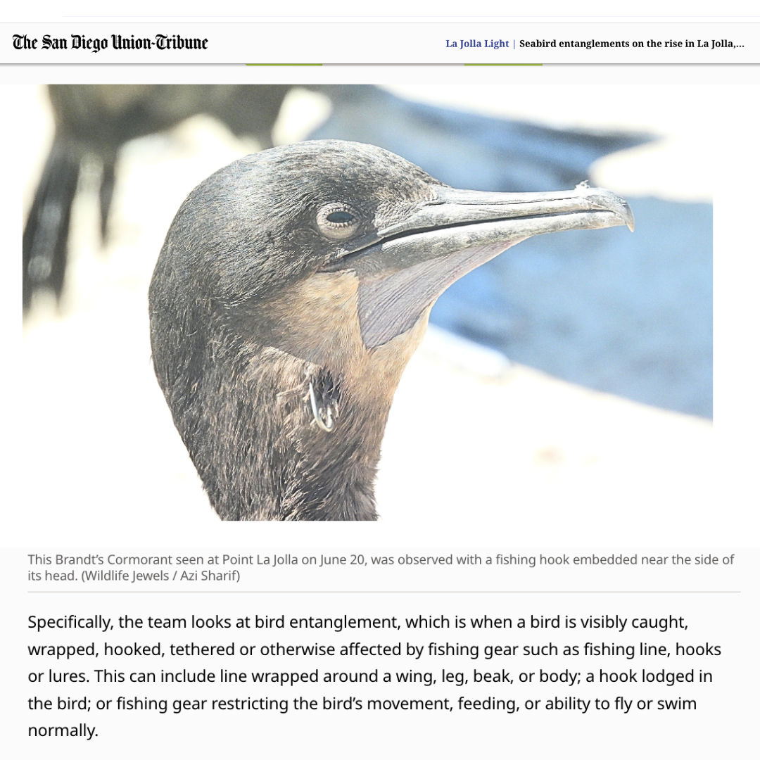 Wildlife Jewels-LJ-Light-Aug22-26-2.png