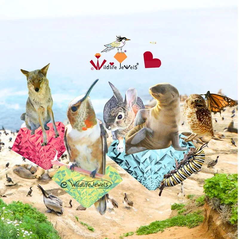 Celebrating California’s Wildlife: Every Life Matters