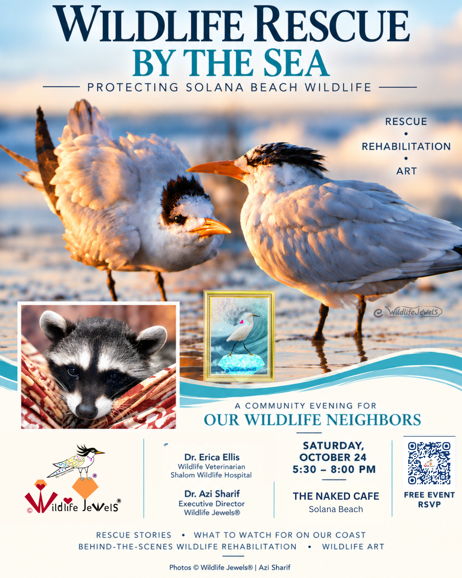 Wildlife Rescue by the Sea: Protecting Solana Beach Wildlife