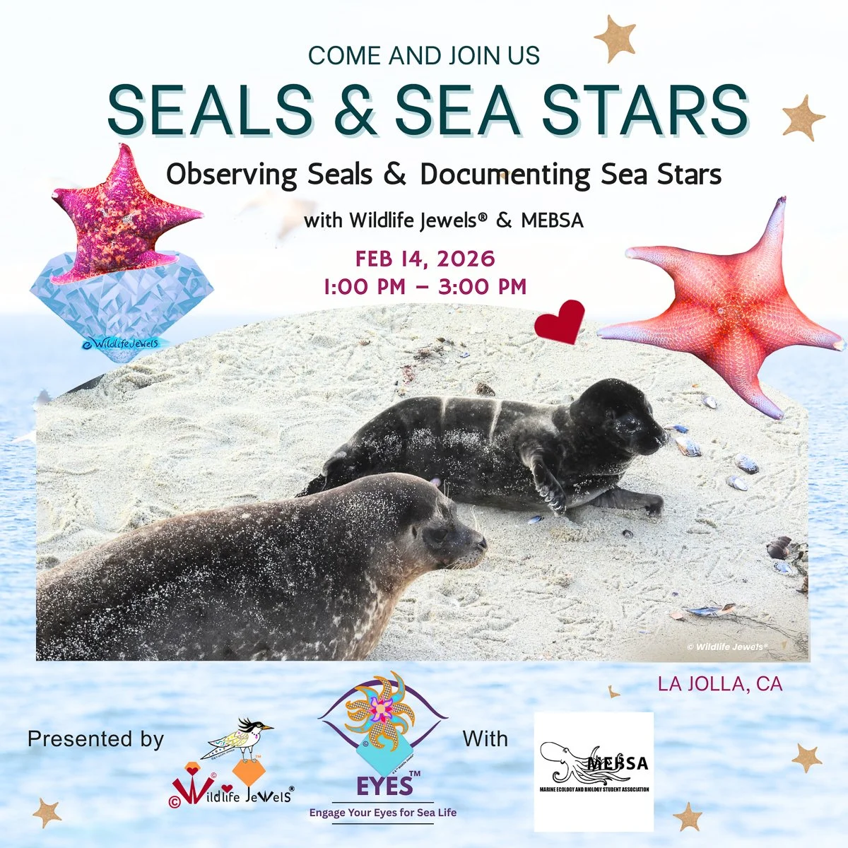 Wildlife Jewels EYES MEBSA