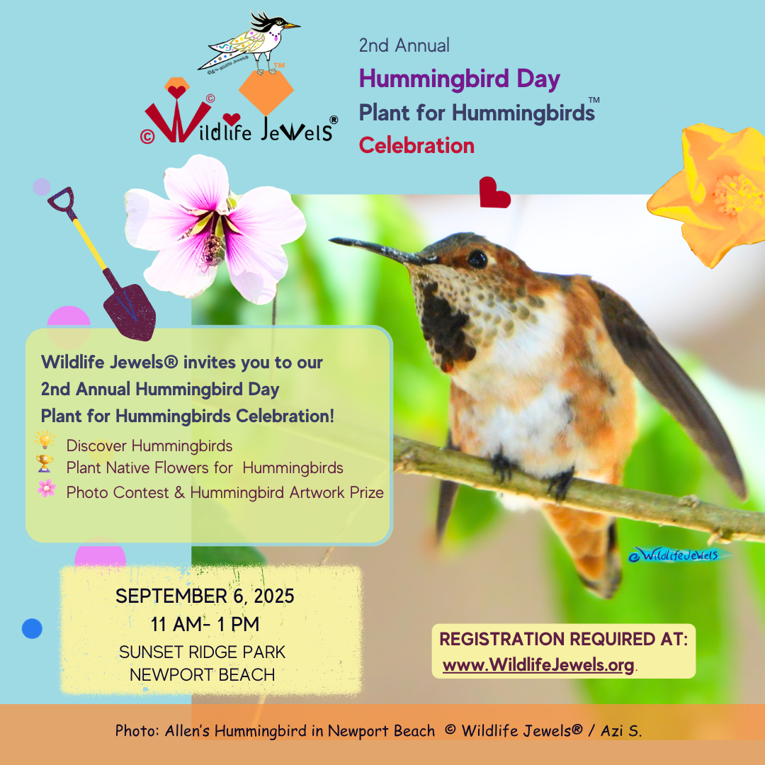 Wildlife Jewels 2nd Annual National Hummingbird Day Plant for Hummingbirds Celebration Newport Beach!