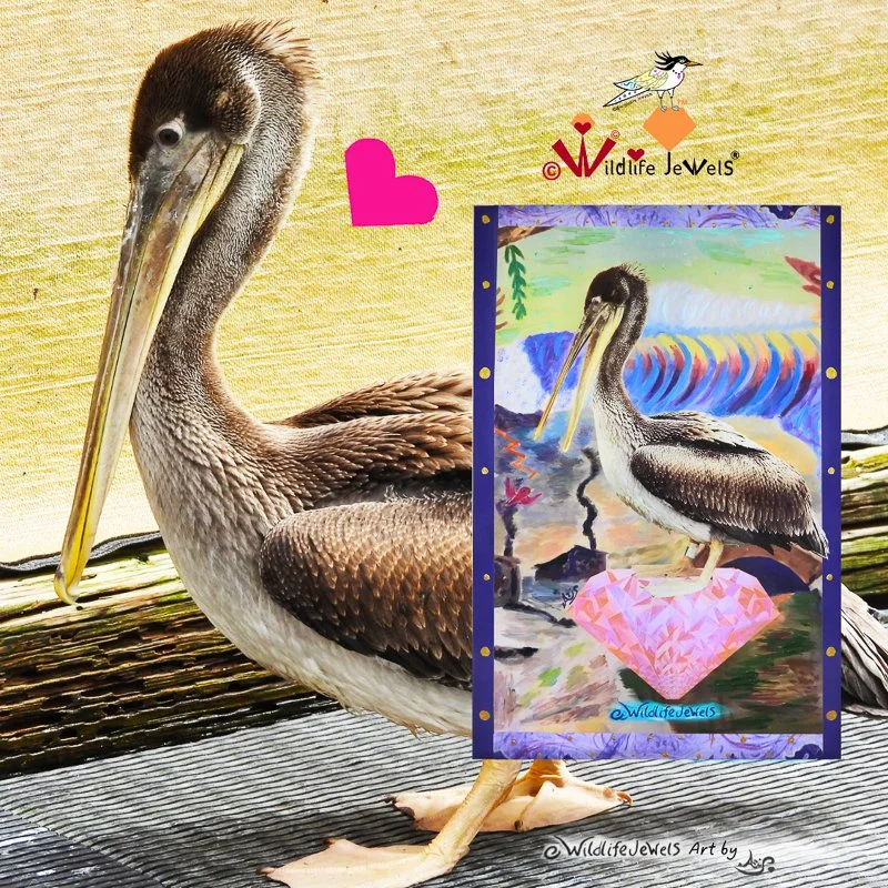 Meet Peach Sapphire: The Pelican Who Survived and Inspired a Wildlife Rescue Art Collection
