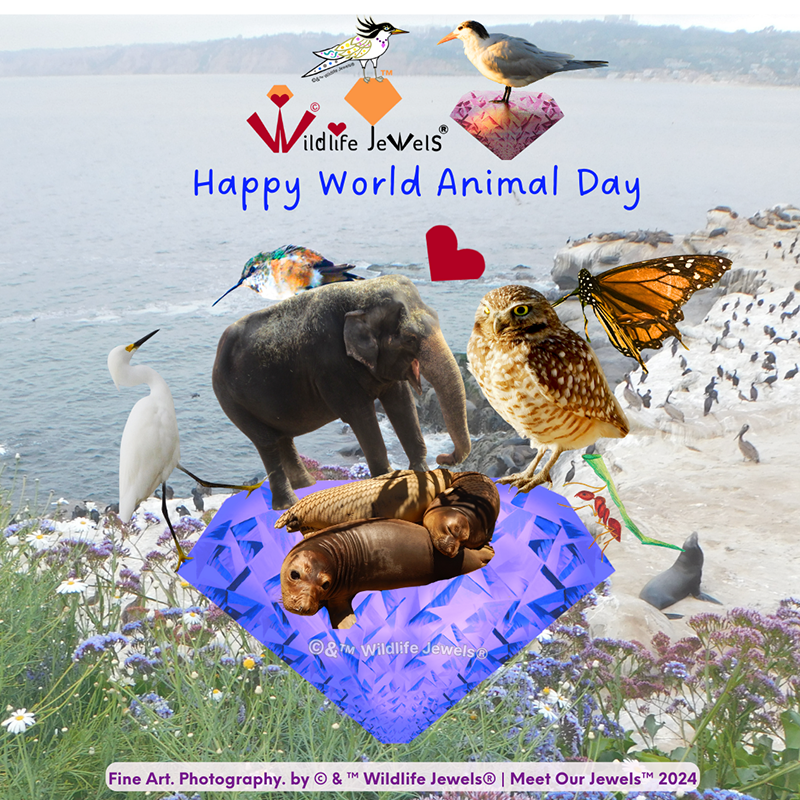 Happy World Animal Day from Wildlife Jewels!