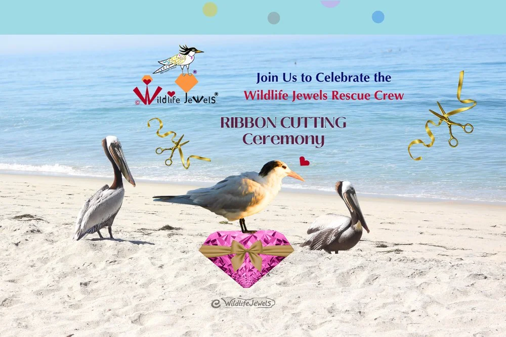 Wildlife Jewels® Rescue Crew Ribbon Cutting & Community Reception Solana Beach