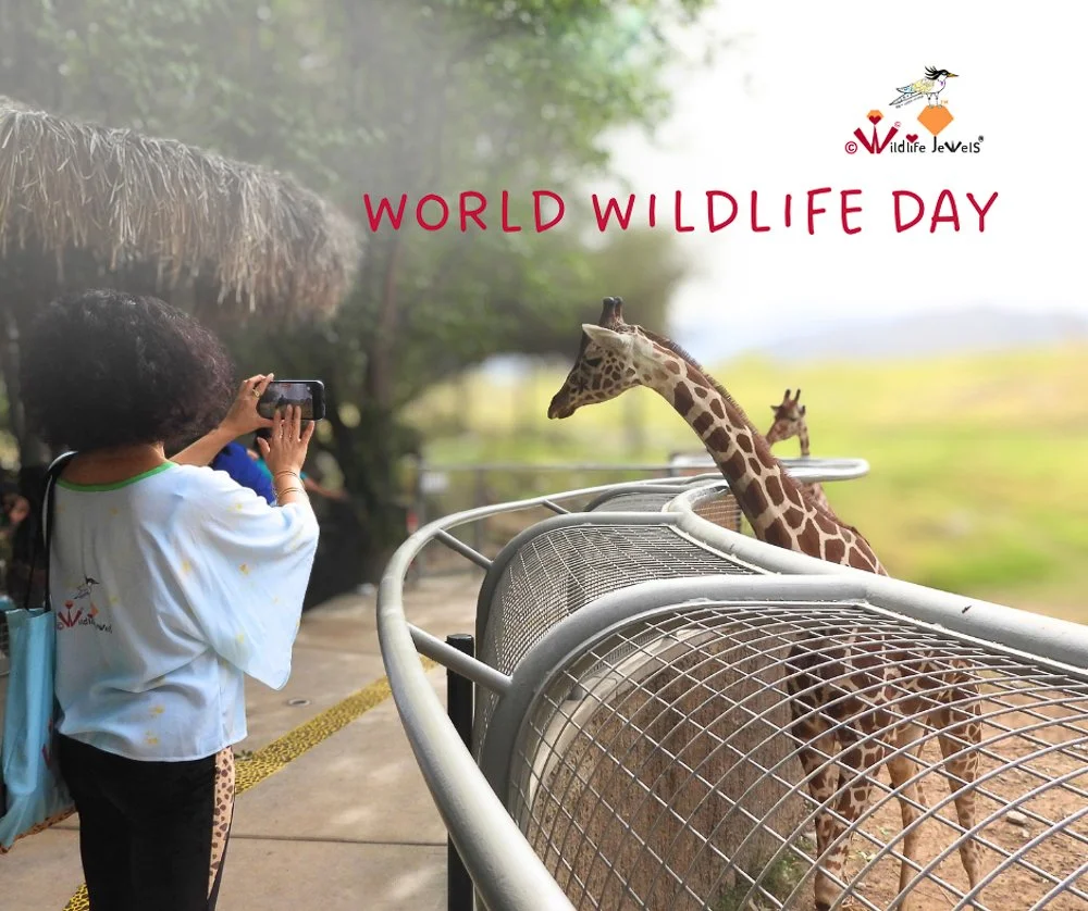 Happy World Wildlife Day 2026