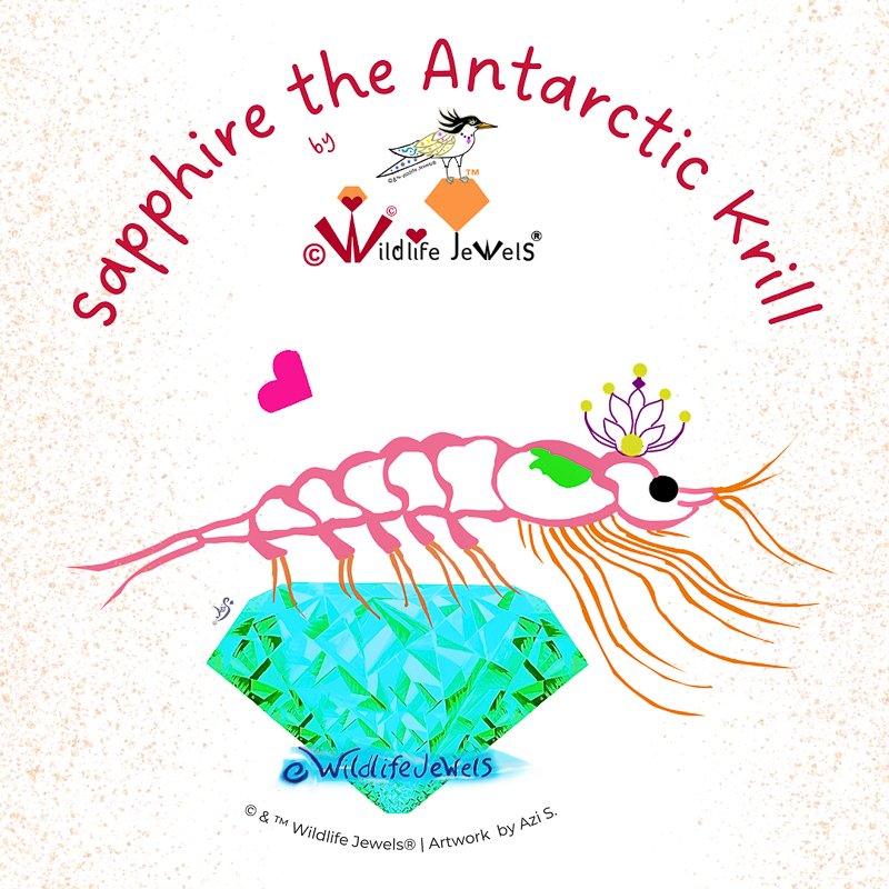 Sapphire the Antarctic Krill