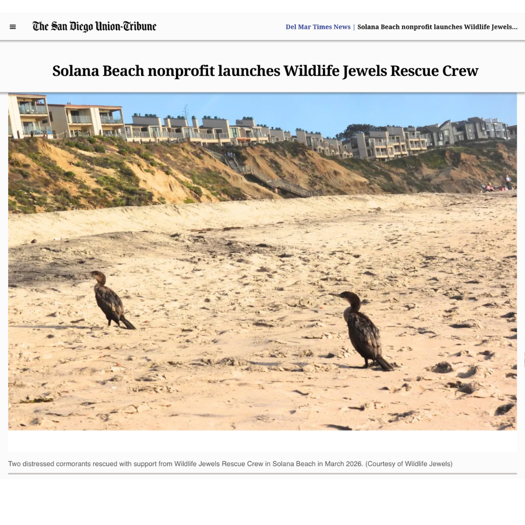 Wildlife Jewels Featured in Del Mar Times and The San Diego Union-Tribune