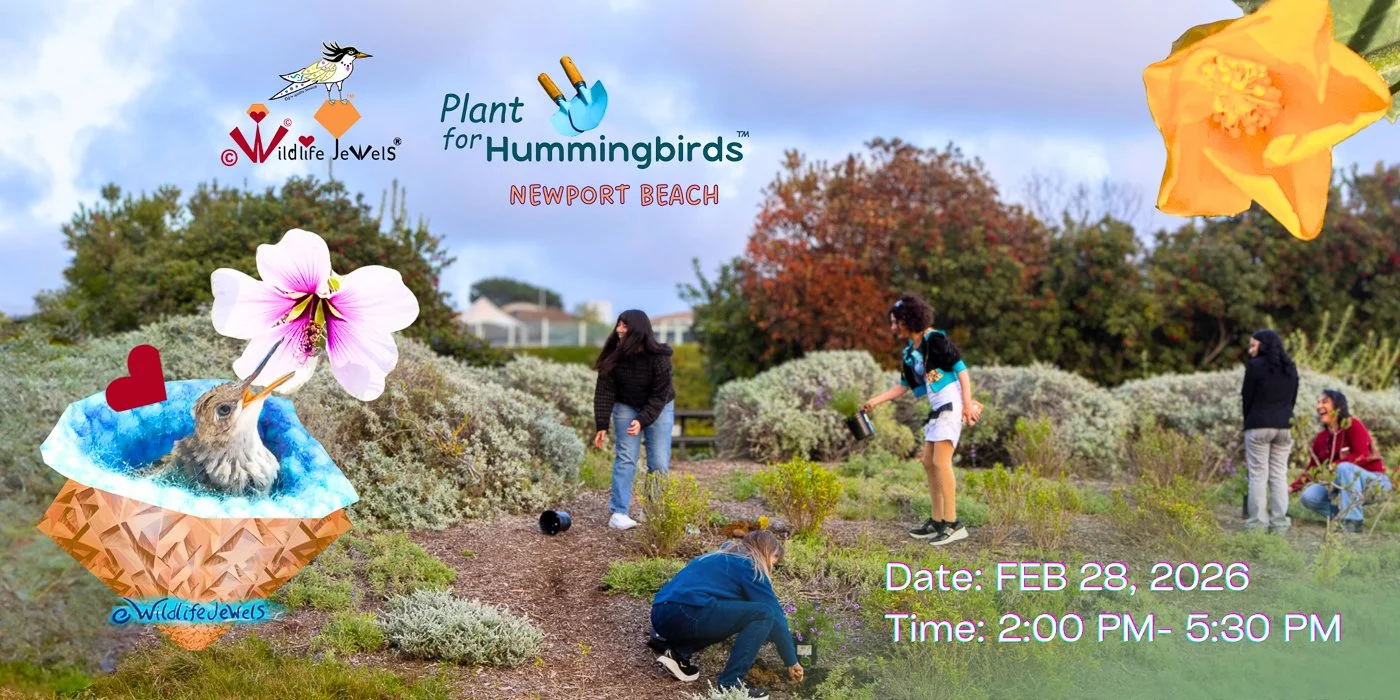 Wildlife Jewels Plant for Hummingbirds — World Wildlife Day Community Planting