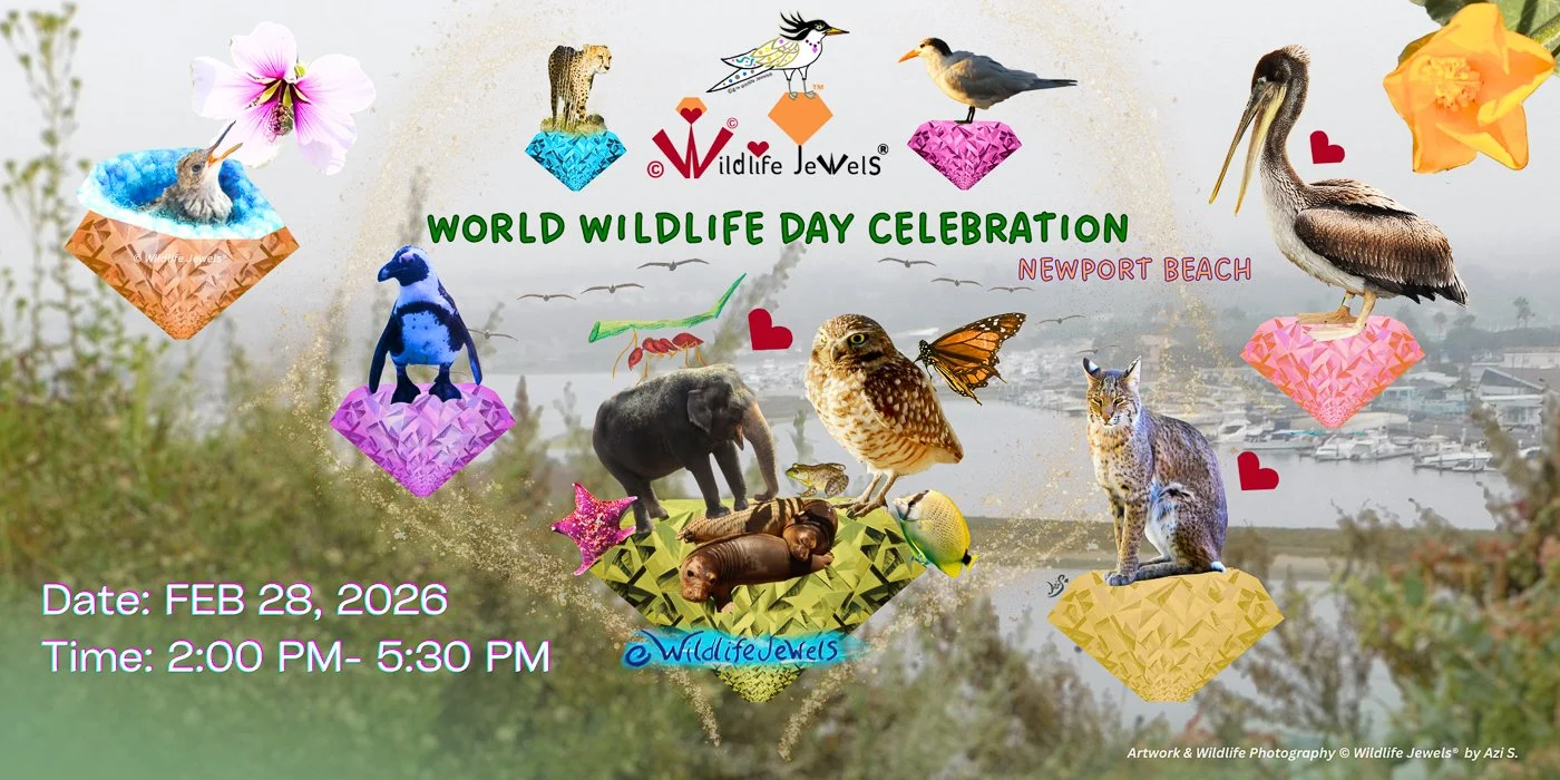 Wildlife Jewels World Wildlife Day Celebration – Newport Beach 2026