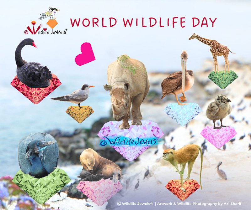 Happy World Wildlife Day 2026