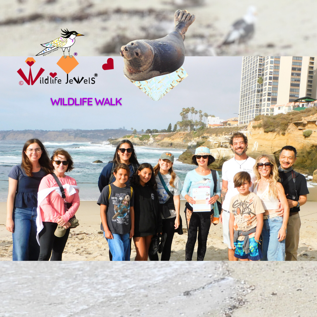 Wildlife Jewels EYES Wildlife Walk La Jolla
