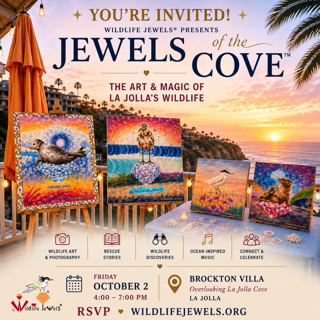 Jewels of  the Cove 