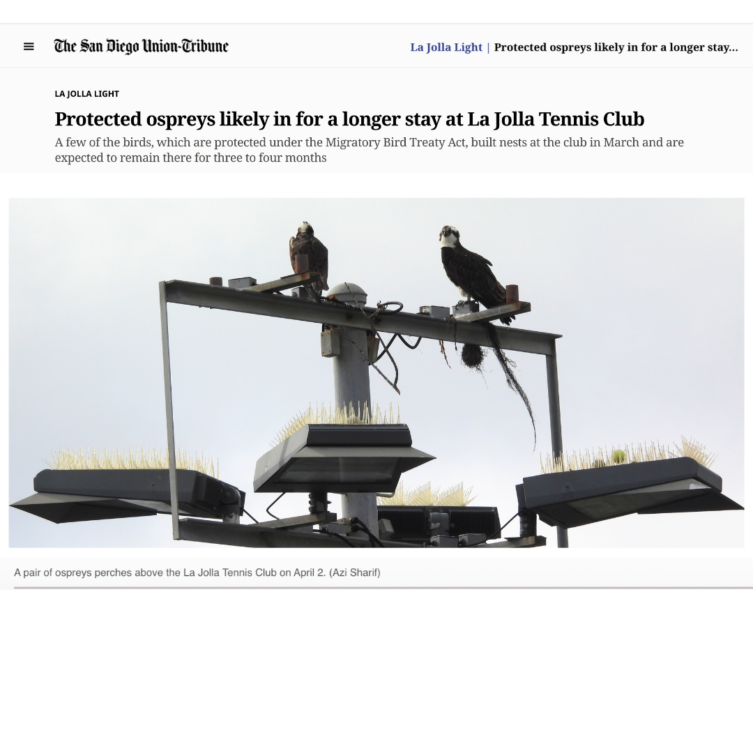 Wildlife Jewels LJTC SDUT-2.png