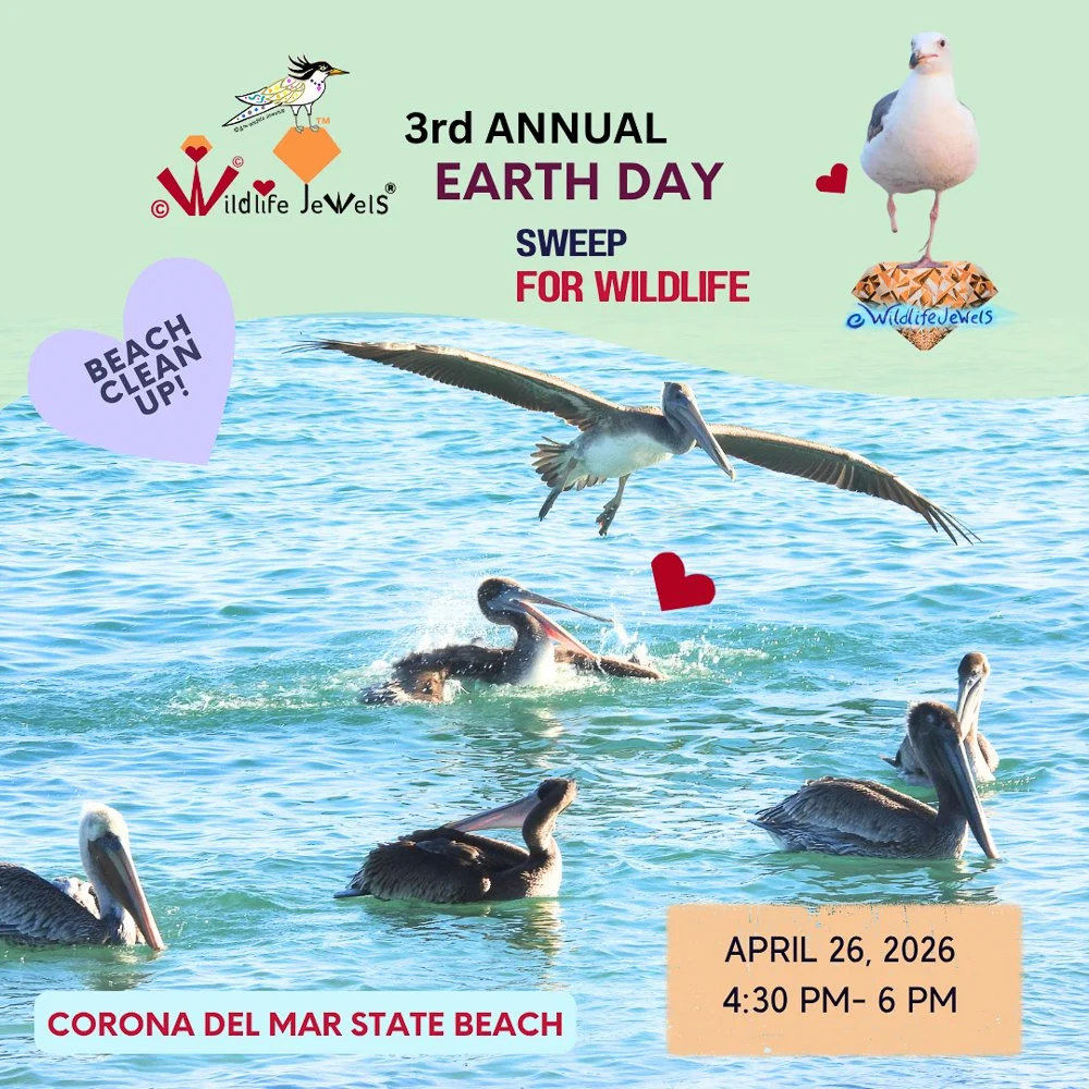 Wildlife Jewels’ 3rd Annual Earth Day Sweep & Learn for Wildlife Walk – Corona del Mar