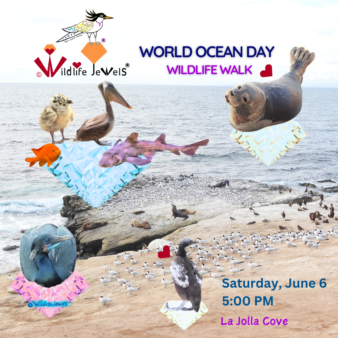 Wildlife Jewels World Ocean Day Wildlife Walk