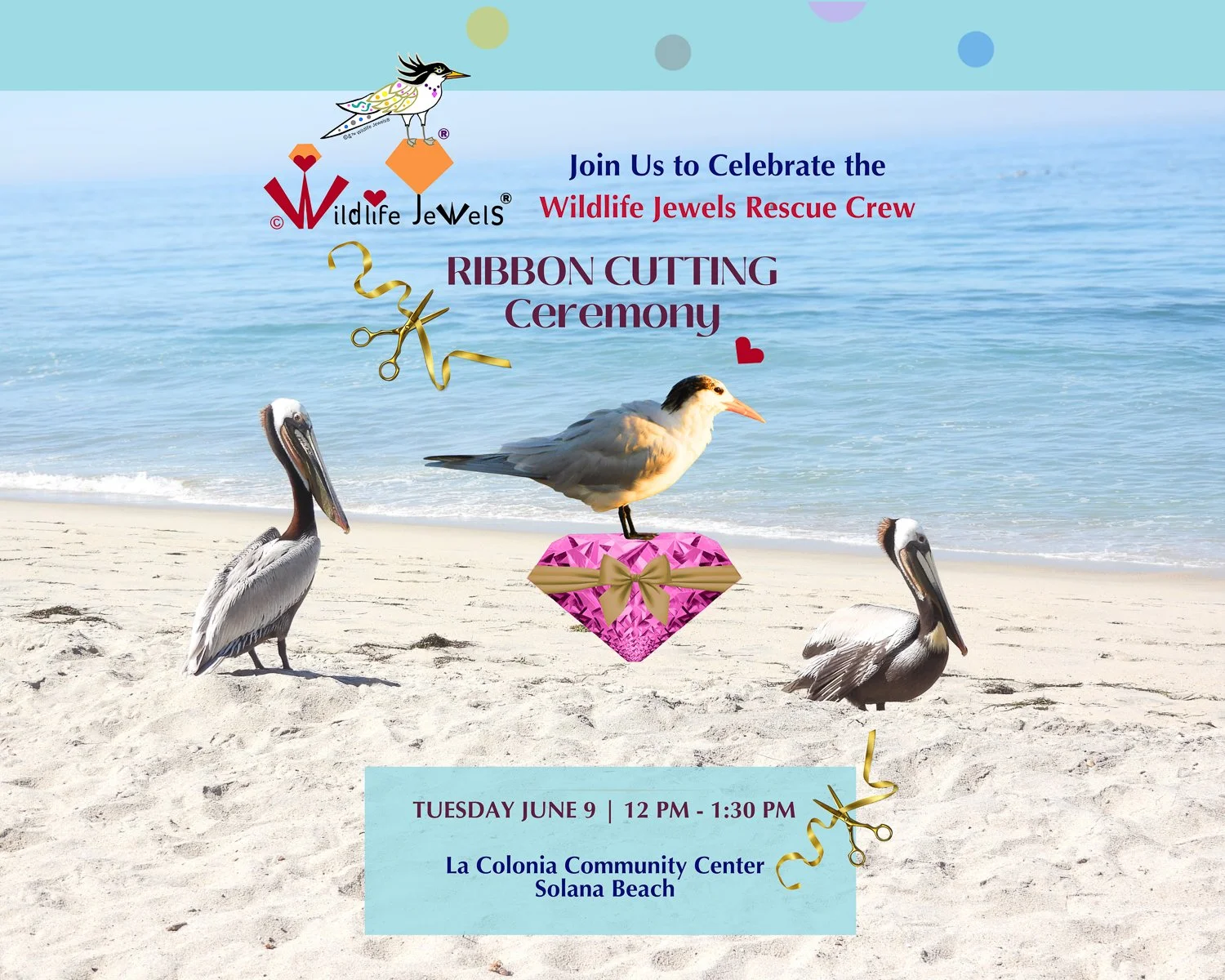 Wildlife Jewels® Rescue Crew Ribbon Cutting & Community Reception Solana Beach