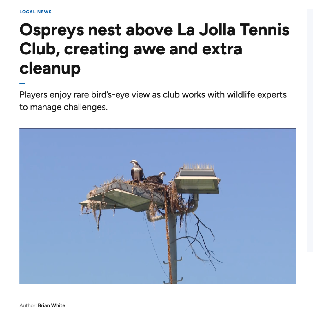 CBS 8 San Diego Feature