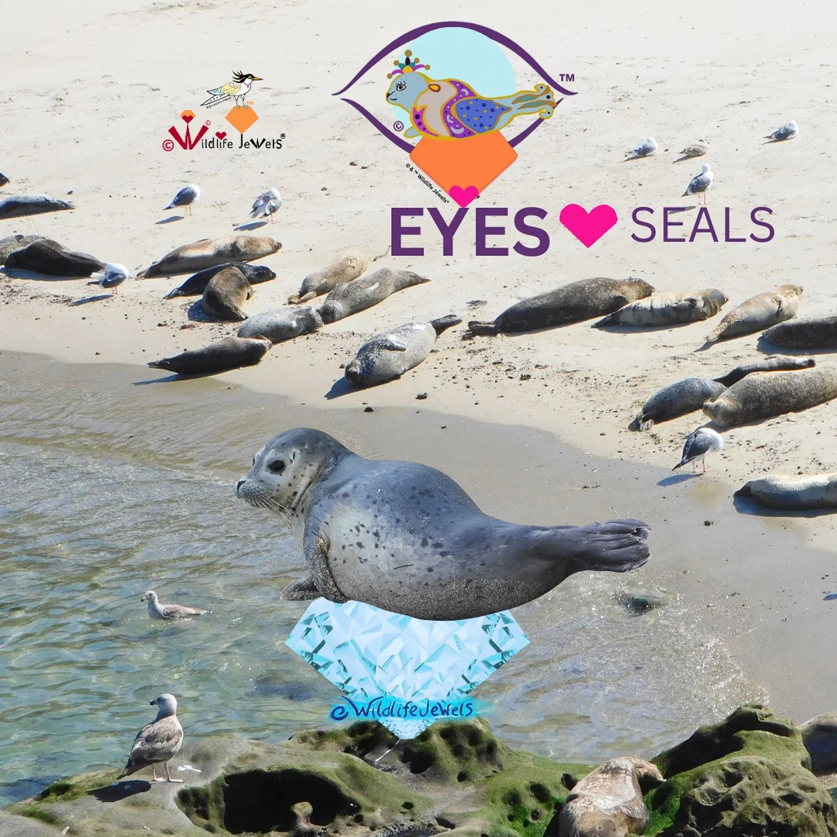 Wildlife Jewels EYES Hearts Seals