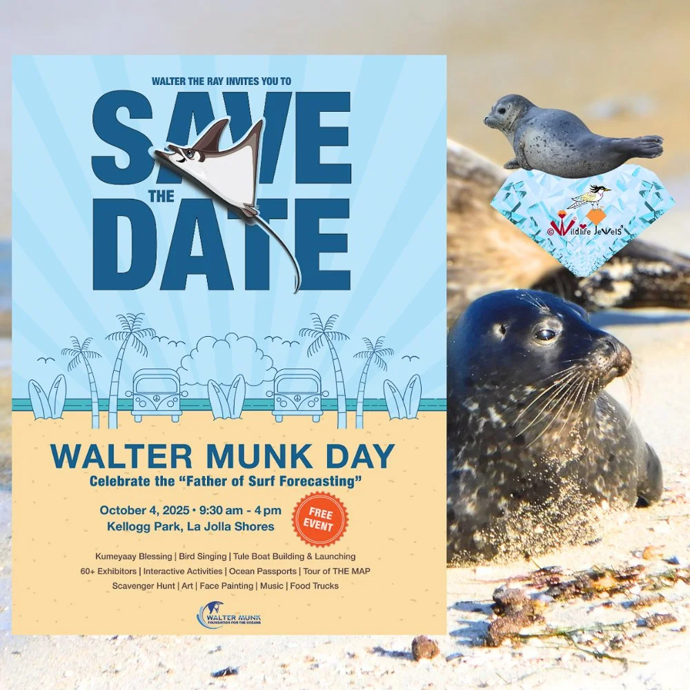 Wildlife Jewels is delighted to join Walter Munk Day hosted by Walter Munk Foundation For The Oceans!