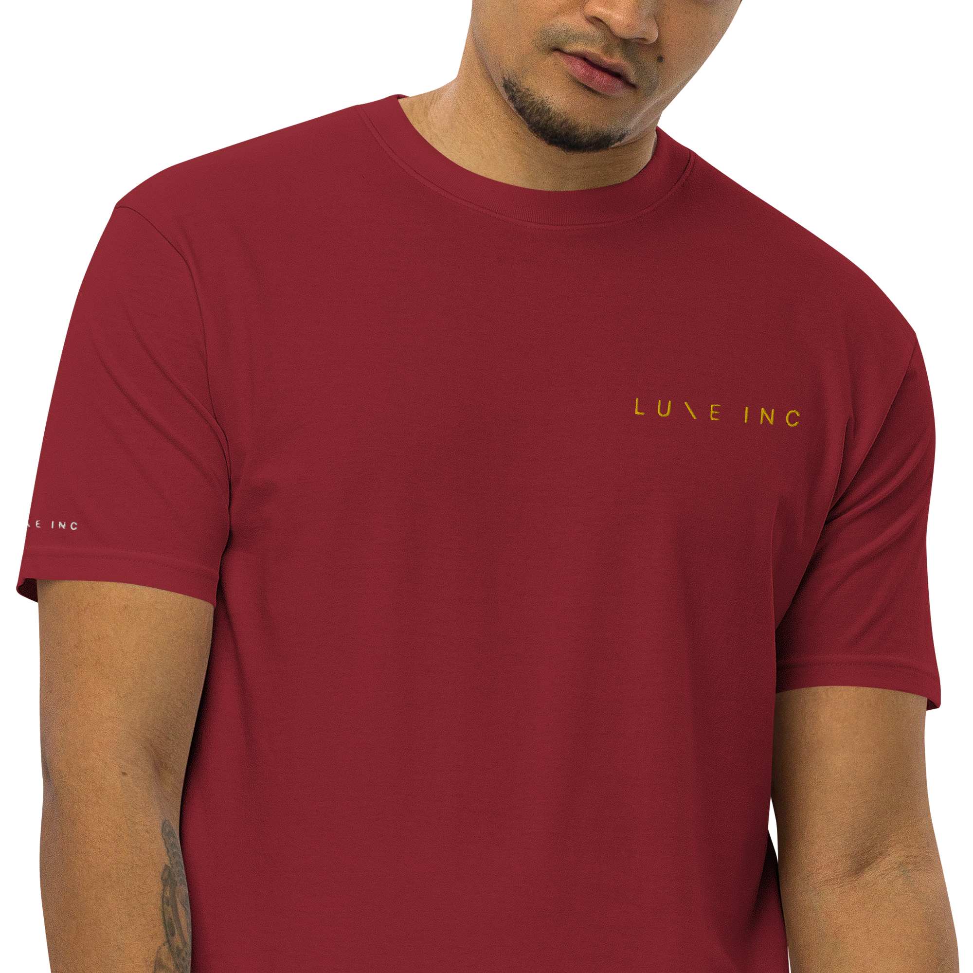 mens-premium-heavyweight-tee-brick-red-zoomed-in-6420ef4845cc2.png