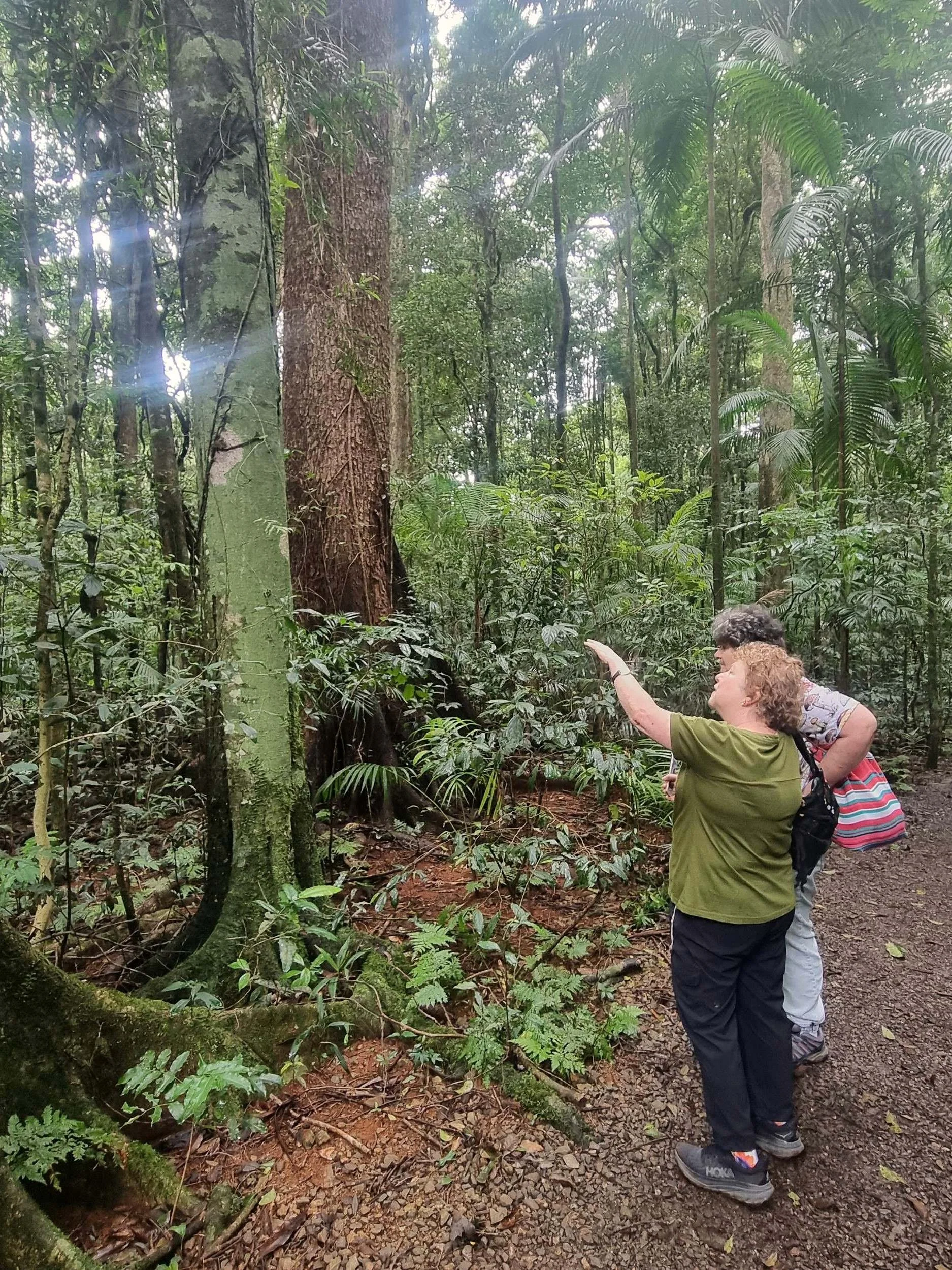 Observing where lichens are growing
