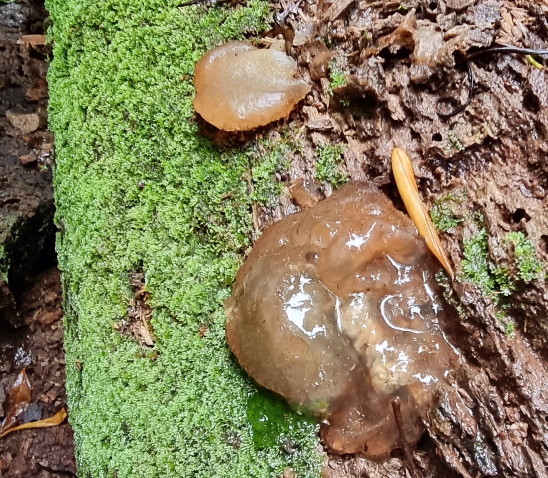 20220111_082945 copy.jpg