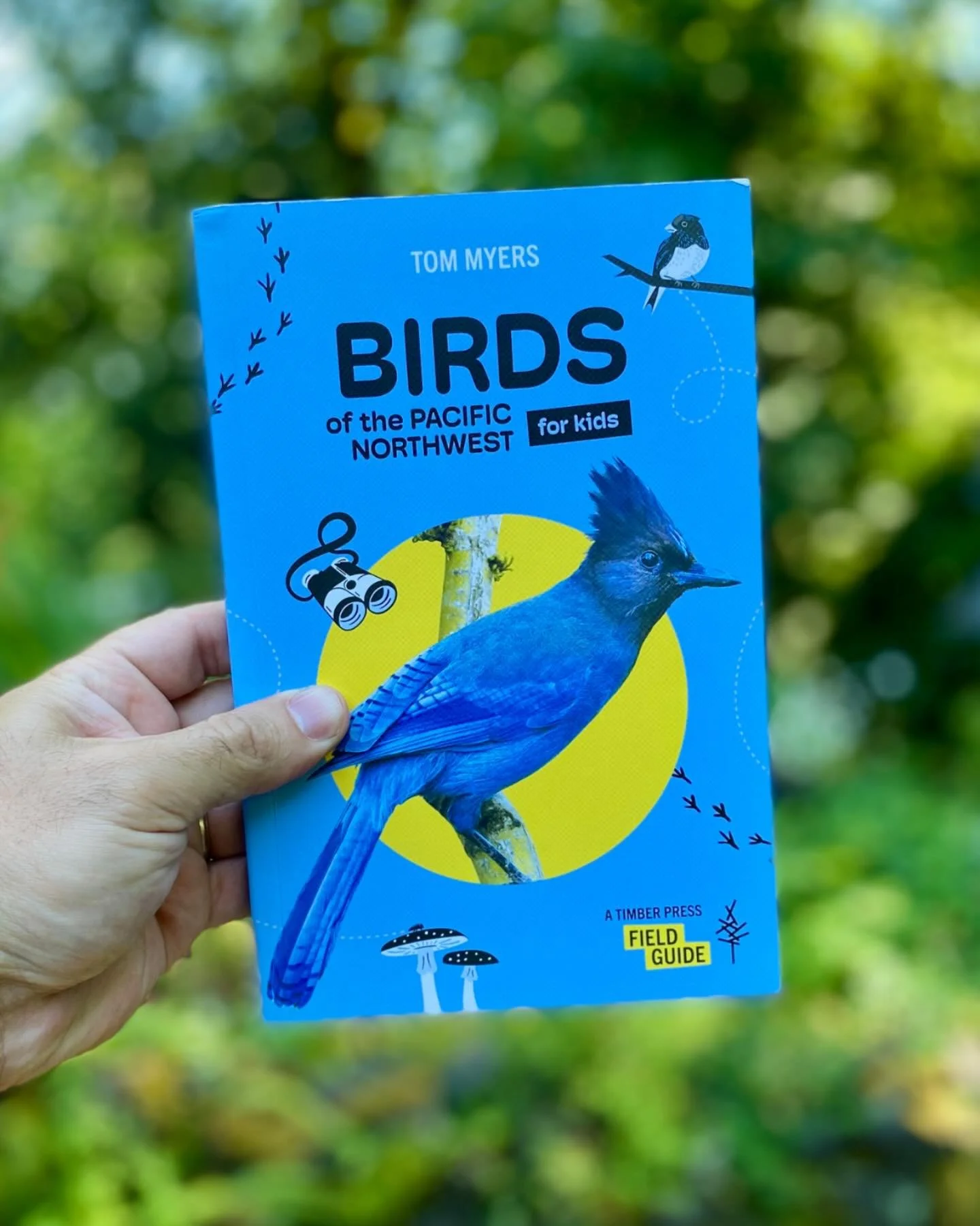 Friendly reminder while you&rsquo;re holiday shopping: Birds of the PNW for Kids is a great resource for beginning birders of any age!  Could make a great gift for anyone interested in birds &amp; birding. 

#birdsofthepacificnorthwestforkids #birdso