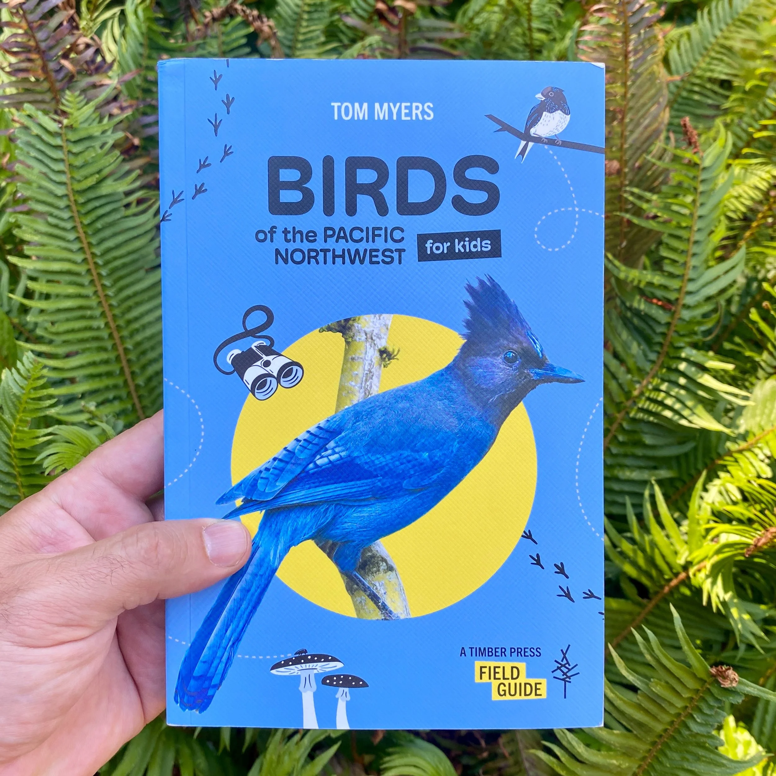 Hard to believe my book &ldquo;Birds of the Pacific Northwest for Kids&rdquo; came out one year ago! Still excited to see it out in the world, and delighted when it finds new readers. 
Happy birthday, book, and happy birthday to its companion guide, 
