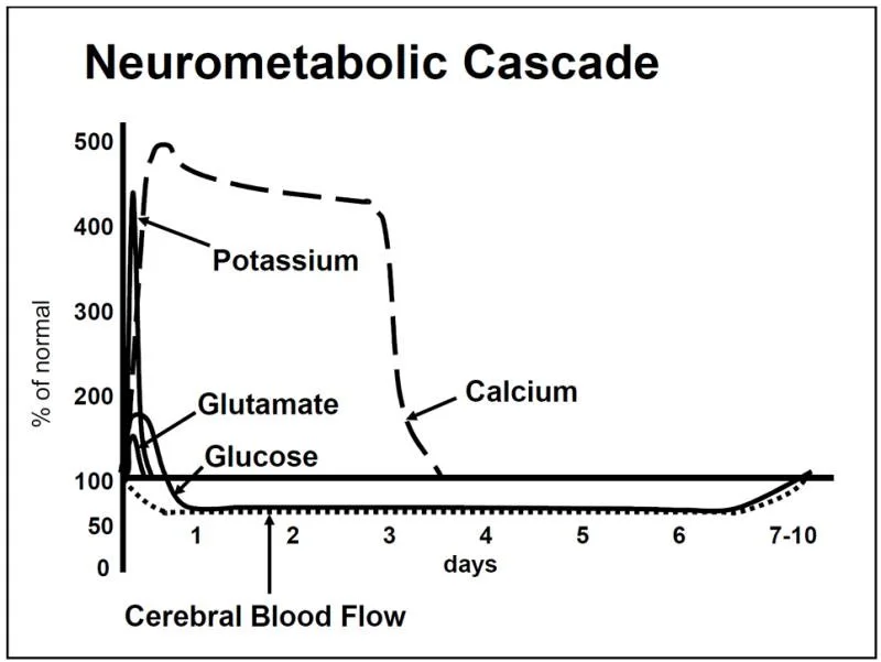 Concussion recovery timeline and treatment in Essendon