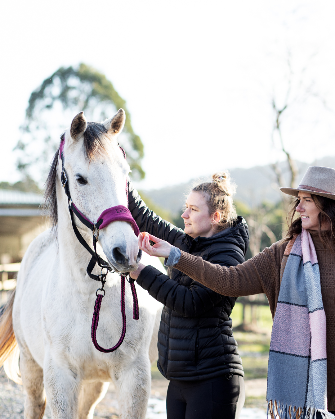 Two women gently pet a white horse outdoors on a sunny day, with a barn and trees in the background.