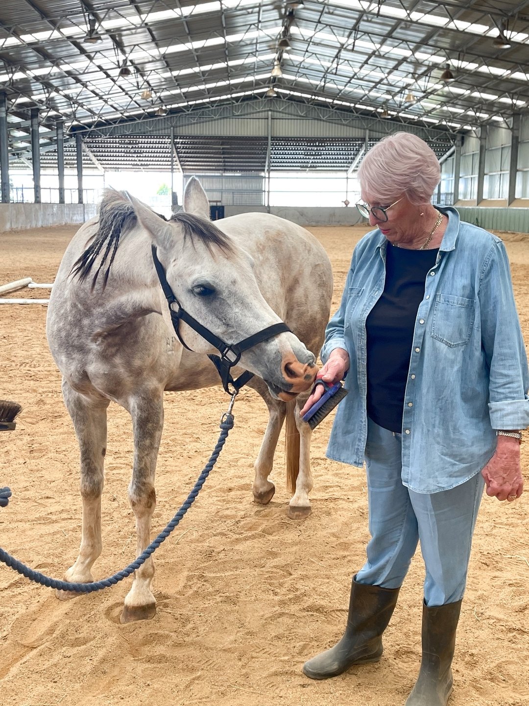 When we integrate horses into our workshops and retreats, the parallels with navigating daily life become crystal clear. Building effective communication, expressing our needs, and considering those of the collective bring a deeper understanding of o