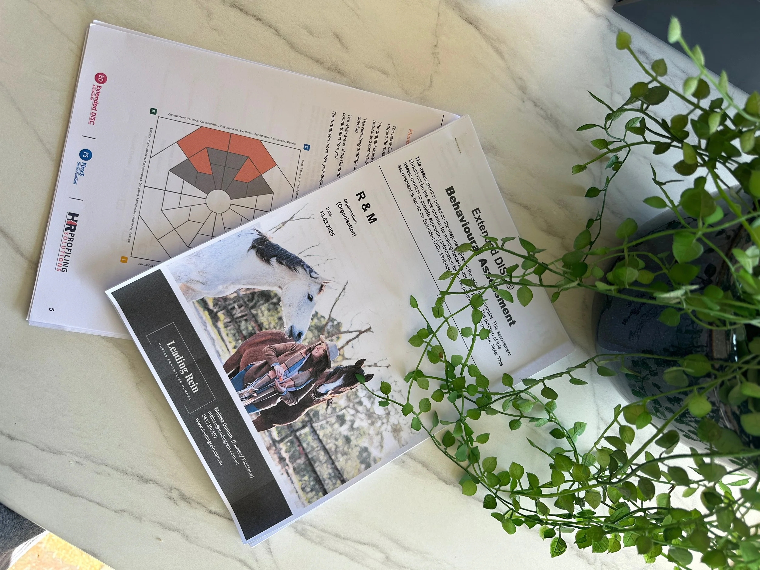 How to Stop Wasting Months Trying to Work Out Your Strengths and Blind Spots Without Even Leaving Your Office.