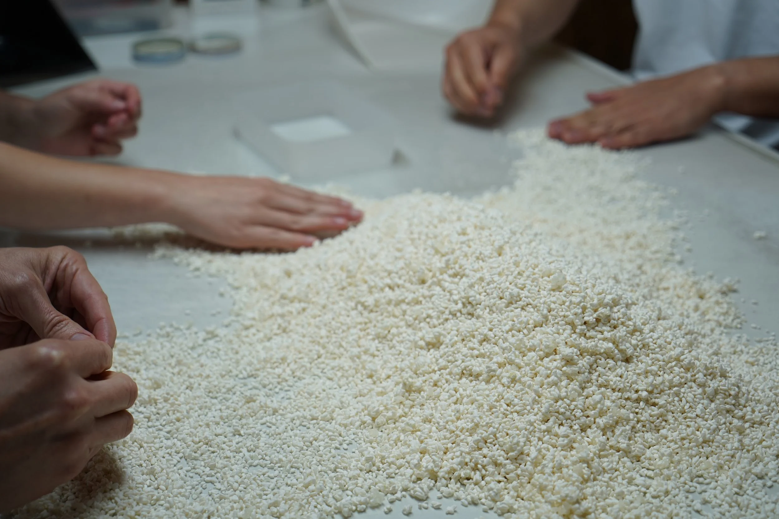 Rice.jpg